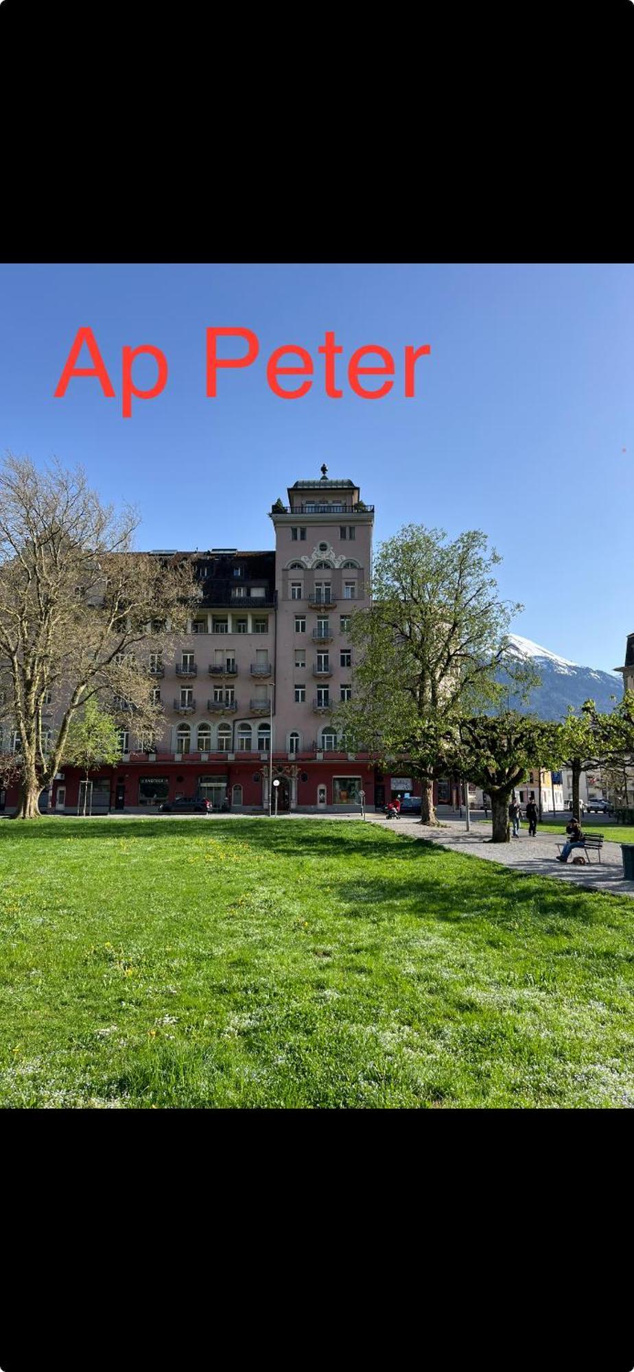 Apartment Peter 因特拉肯 外观 照片